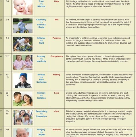 Erik Erikson's Stages Of Psychosocial Development, Eriksons Stages Of Development Mnemonic, Erik Erikson Stages Human Development, Psychosocial Theory, Erickson Stages Of Development, Eric Erickson, Eriksons Stages Of Development, Nce Study, Developmental Milestones Toddlers