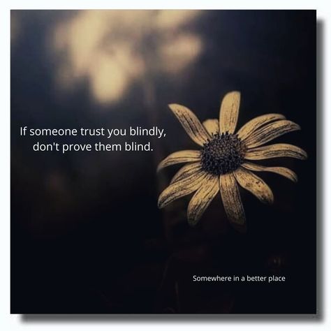 If someone trust you blindly, don't prove them blind. Don't Trust Anyone Blindly Quotes, Blind Loyalty, Blind Quotes, Blind Trust, Never Trust Anyone, Don't Trust Anyone, One Liner Quotes, Blind Faith, Trust Quotes