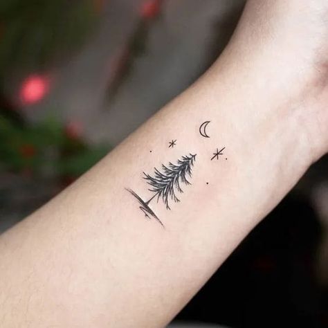 50+ Tree Tattoo Ideas With Great Meanings Behind Tiny Evergreen Tree Tattoo, Trees And Stars Tattoo, Tree Ankle Tattoos For Women, Sitka Tree Tattoo, Dainty Pine Tree Tattoo, Simple Willow Tree Tattoo, Evergreen Branch Tattoo, Christmas Tree Tattoo Ideas, Winter Solstice Tattoo