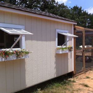 BackYard Chickens - Learn How to Raise Chickens Open Backyard, Tarp Shade, Duck Coop, How To Raise Chickens, Chicken Coop Run, Raise Chickens, Double Front Doors, Building A Chicken Coop, Backyard Chickens