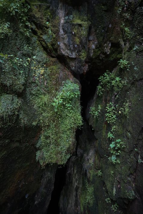 Behind these mossy rocks, right in that crack leads to a very deep cave Dungeons And Dragons