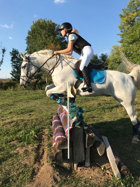 Fleabitten Grey Horse Jumping, Grey Horse Jumping, Fleabitten Horse, White Horse Jumping, Cute Horse Riding Outfits, Grey Horses, Horse Games, Eventing Horses, Horse Riding Clothes