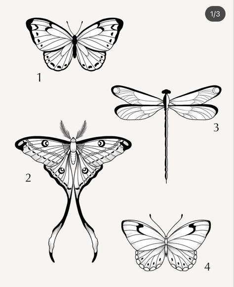 Lunar Moth Tattoo Design Simple, Line Moth Tattoo, Simple Bug Tattoo Ideas, Moth Tattoo Wrist, Butterfly Moth Tattoo, Moth Tattoo Stencil, Moth Outline Tattoo, Dragonfly Outline Tattoo, Lunar Moth Tattoo Design