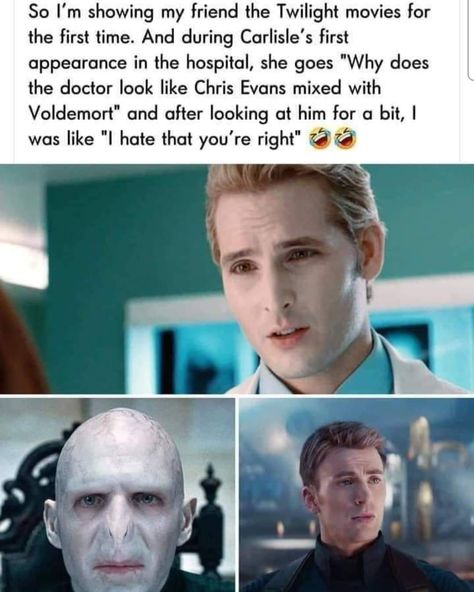 Twilight Jokes, Twilight Funny, Twilight Memes, Twilight Movie, Movies And Series, 웃긴 사진, Avengers Funny, Harry Potter Funny, Book Memes