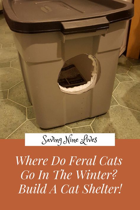 Feral cats have it pretty rough during the winter times. Learn how you can help out cats in need! Outdoor Cat Shelter Diy Easy, Outside Cat Box For Winter, Outdoor Cat Box For Winter, Diy Cat Shelter Outdoor Winter, Outdoor Cat House For Winter Diy, Diy Outside Cat House For Winter, Diy Warm Cat House Winter, Outdoor Cat Shelter Diy, Cat Shelters For Winter How To Make