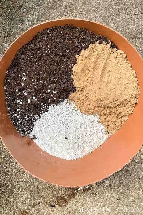 Succulent Mix Soil, Diy Succulent Potting Soil, Diy Succulent Soil Recipe, Pot Of Succulents, Potting Succulents Ideas, Succulents In Pots Ideas, How To Plant A Succulent, Succulent Plants Ideas, What To Plant Succulents In