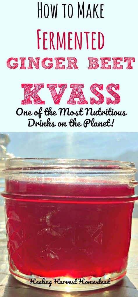 Beet Kvass is seriously one of the most nutritious drinks on the planet. It's a fermented ginger and beet drink that contains detoxifying properties, the health benefits of ginger, and the probiotics of fermentation! This recipe for Ginger Beet Kvass is SO easy to make, too---You are going to love this fermented drink! #kvass #fermenteddrink #gut #health #probiotics #microbiome #hangovercure #beet #ginger #herbal #fermented #fermentation #fermenting Kvass Recipe, How To Make Beets, Beet Kvass, Ginger Bug, Calendula Benefits, Health Benefits Of Ginger, Healthy Probiotics, Probiotic Drinks, Fermentation Recipes