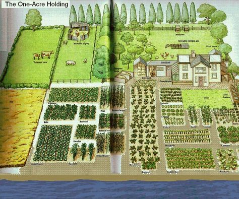 1 acre farm Suburban Homestead, Homestead Layout, Independent Lifestyle, Acre Homestead, Farm Plans, Garden Layout Vegetable, Homestead Farm, Farm Layout, Homestead Gardens