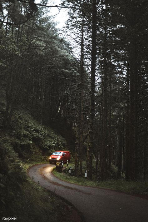 Car In Forest, Car Commercial, Portfolio Shoot, Cars Photography, Temperate Rainforest, Woods Photography, Forest Background, Forest Road, Image Ideas