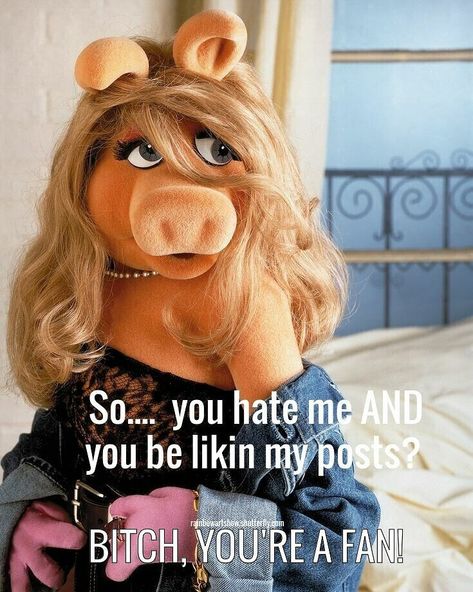 Hekate Moon, The Muppets Characters, Piggy Muppets, Miss Piggy Muppets, Kermit And Miss Piggy, Outdoors Quotes, Animals Tattoos, Girl Writing, Sesame Street Muppets