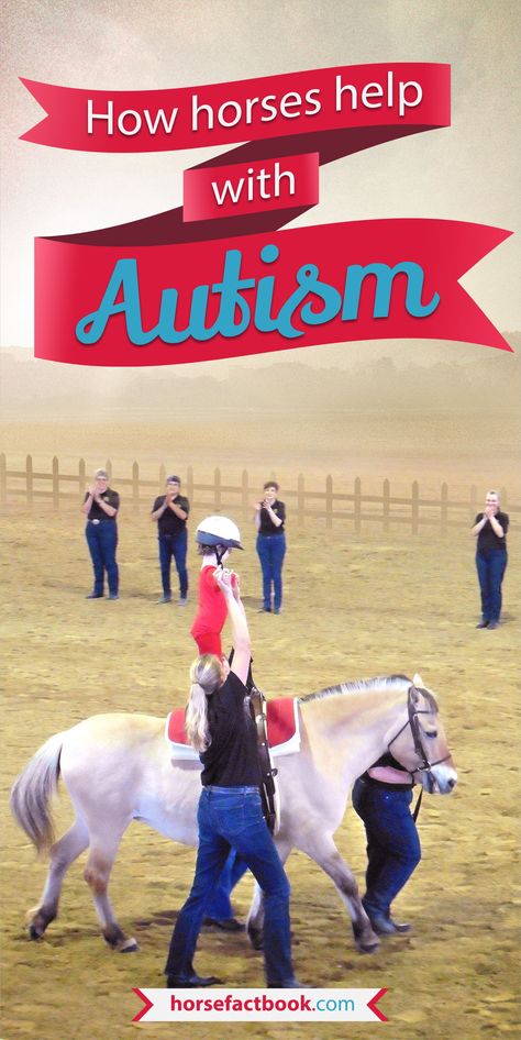 Equine Assisted Therapy Activities, Horse Therapy Activities, Equine Assisted Learning Activities, Equine Therapy Activities, Equine Assisted Therapy, Equestrian Tips, Therapeutic Horseback Riding, Riding Ideas, Horse Healing