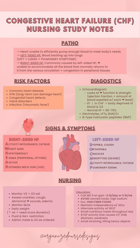 Chf Nursing, Nursing Study Notes, Notes Nursing, Nursing School Essential, Nursing Study Guide, Nurse Study, Nursing School Motivation, Nurse Study Notes, Nursing Student Tips