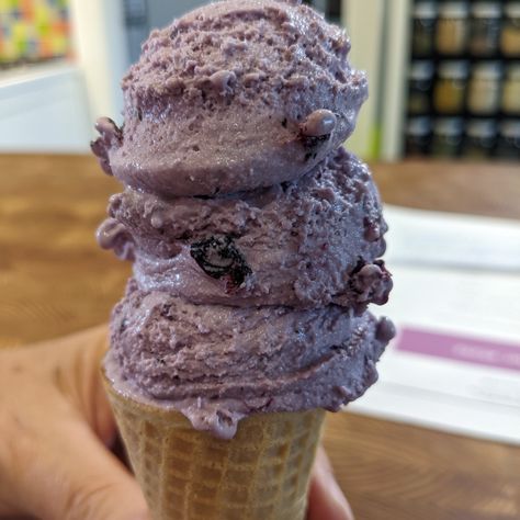 Frozen Ice Cream, Blueberry Ice Cream, Freeze Ice, Frozen Ice, Blueberry Sauce, Frozen Custard, Creamed Eggs, Wild Blueberries, Frozen Blueberries