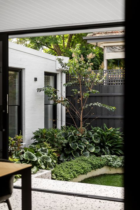 Miniscape Projects, Landscape Design Melbourne, Courtyard Plants, Creative Landscape, Tudor Style Homes, Internal Courtyard, Front Landscaping, The Local Project, Light Well