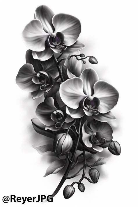 Discover this stunning black and white orchid tattoo design that beautifully blends elegance and artistry. Perfect for nature lovers and tattoo enthusiasts, this JPG design captures intricate details and intricate shading that will elevate your tattoo game. Whether you're considering your first tattoo or adding to your collection, this floral piece is a timeless choice. Get inspired and showcase your individuality with this exquisite design! #TattooDesigns #OrchidTattoo #FloralTattoo #BodyArt #TattooInspiration White Orchid Tattoo, Orchids Tattoo Design, Orchids Tattoo, Orchid Tattoo Design, Black And White Orchid, Flor Tattoo, Flower Reference, Crane Tattoo, Buddha Tattoo Design