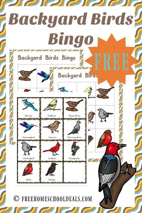 Bird Bingo Free Printable, Wild Schooling, Winter Homeschool, Science Homeschool, Birds For Kids, Teaching Boys, Nature Studies, American Birds, School Libraries