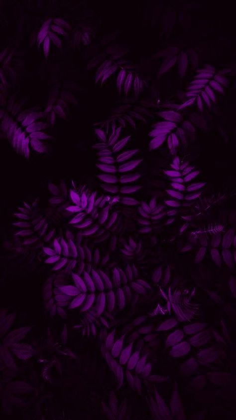 Purple Plant Wallpaper, Purple Leaves Wallpaper, Polos Wallpaper, Hitam Aesthetic, Hp Wallpaper, Leaves Wallpaper Iphone, Dark Purple Wallpaper, Wallpaper Estetika, Qhd Wallpaper