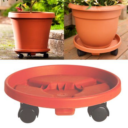 Rolling Plant Stand, Lobelia Cardinalis, Plant Caddy, Terra Cotta Color, Cardinal Flower, Plant Saucer, Rain Barrel, Plastic Pots, Shed Plans