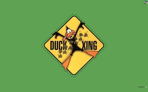 Rabbit Season, Looney Tunes Show, Duck Wallpaper, Thats All Folks, Looney Tunes Cartoons, Funny Duck, Promotional Image, Silhouette Stencil, Daffy Duck