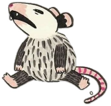 Cute Possum Drawings, Cartoon Possum, Opossum Drawing, Possum Drawing, Possum Tattoo, Possum Memes, Opossum Art, Sticker Design Inspiration, Goofy Drawing