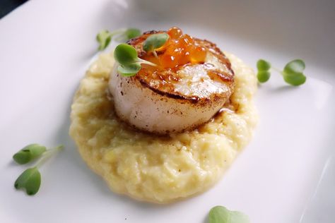 Over dinner parties, I've been asked numerous times on how to get that nice golden sear on my scallops. How do I know if my scallops are cooked? Should I torch  my scallops? You get the drift. Searing scallop is really one of the simplest  technique and I'm not kidding. Follow the steps below to achieve that perfect sear with moist, juicy centre. I like to serve these sea treasures on a bed of corn puree. Corn Puree Recipe, Corn Puree, Scalloped Corn, Coquille St Jacques, Gourmet Food Plating, Seared Scallops, Fig Recipes, Creamy Corn, Scallop Recipes