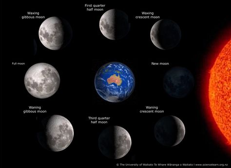 The phases of the moon relate to the amount of light you see (waxing and waning) on the Moon’s surface as it orbits the Earth. This image shows the moon phases – from the new Moon (Whiro) to the full Moon (Te Rākaunui) – from the Southern Hemisphere. What Are The Moon Phases, Moon Phases In Order, Waning Gibbous Phase Moon, First Quater Moon Phase, Earth Hd, The Moon Phases, The Phases Of The Moon, Drawing Kids, Earth Images