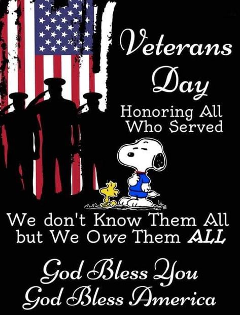 Snoopy Veterans Day Quotes, Snoopy Veterans Day, God Bless America Quotes, Veterans Day Images, Bible Cartoon, America Quotes, Veterans Day Weekend, Veterans Day Quotes, Brown Pictures