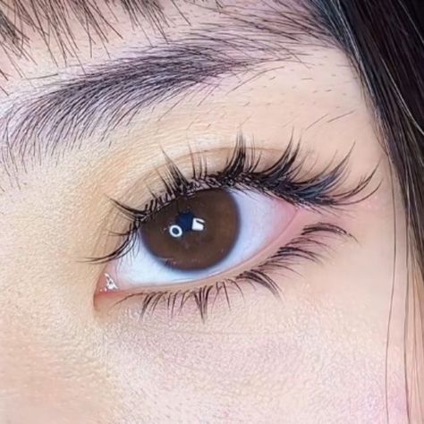 Wispy Volume, Perfect Eyelashes, Doll Eye Makeup, Swag Makeup, Edgy Makeup, Cute Makeup Looks, Asian Eye Makeup, Fake Eyelashes, Asian Makeup