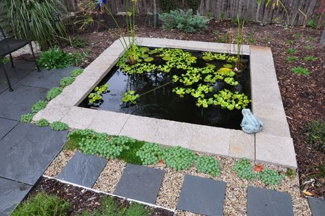 Bluestone Steppers, Square Pond, Container Ponds, Container Pond, Pond Koi, Pond Kits, Garden Goals, Small Container, Lawn Maintenance