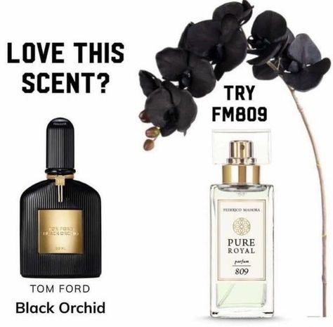 Love Tom Ford Black Orchid🤩 Try our FM 809 ......its the best🤩💫 Order via my link Parfum Quotes, Tom Ford Orchid, Fm Products, Fm Perfume, Fm Fragrances, Fragrance Quote, Ladies Perfume, Fm Cosmetics, Perfume Quotes