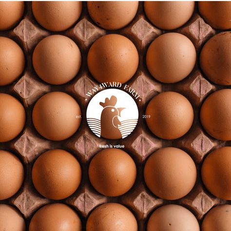 Egg Branding, Egg Logo Design Ideas, Egg Logo Design, Egg Brand, Egg Branding Design, Egg Farm Logo, Chicken Egg Logo Design, Egg Logo, Cosmetics Advertising