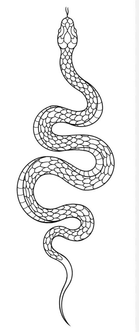 Snake Around Arm Tattoo, Snake Outline, Blitz Tattoo, Cute Tattoo Ideas, Around Arm Tattoo, Tattoo Snake, Snake Tattoos, Serpent Tattoo, Snake Drawing