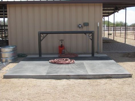 AZ Horse Barn Builder - Custom Equine Facilities / Curt Boyd Barns and Fencing Horse Wash Rack, Cattle Barn Designs, Show Cattle Barn, Paddock Trail, Horse Shed, Livestock Barn, Barn Layout, Horse Farm Ideas, Tack Rooms