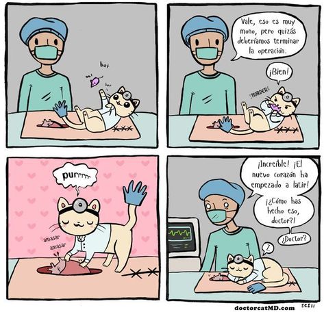 Doctor Cat, Kitty Funny, Song Memes, Cartoon Strip, Cat Comics, Cute Comics, Crazy Cat Lady, Funny Comics, Crazy Cats