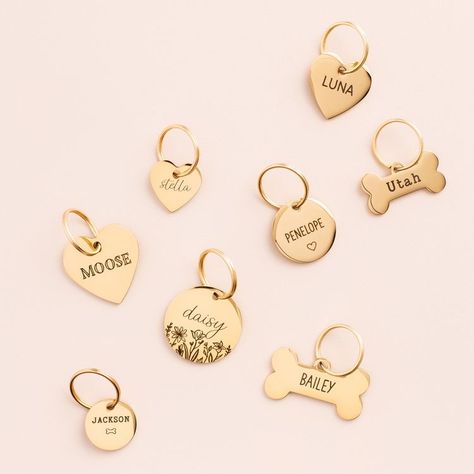 #doglovers #honeycombgrooming #puppies #aesthetic #dogcare Tiny Dog Collars, Cute Dog Tags For Dogs, Aesthetic Pet Collar, Puppy Collars Girly, Western Puppy Accessories, Cute Dog Products, Preppy Dog Accessories, Girl Puppy Accessories, Pet Accessories Ideas