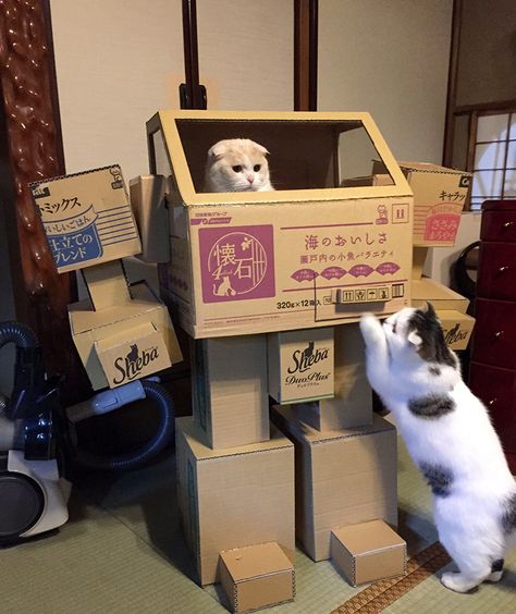 Giant Cardboard Robot Cat Condo Cardboard Robot, Robot Cat, Cat Tanks, Cabinets Diy, Japanese Toys, Cat Condo, Cats Funny, Diy Patio, Repurposed Furniture