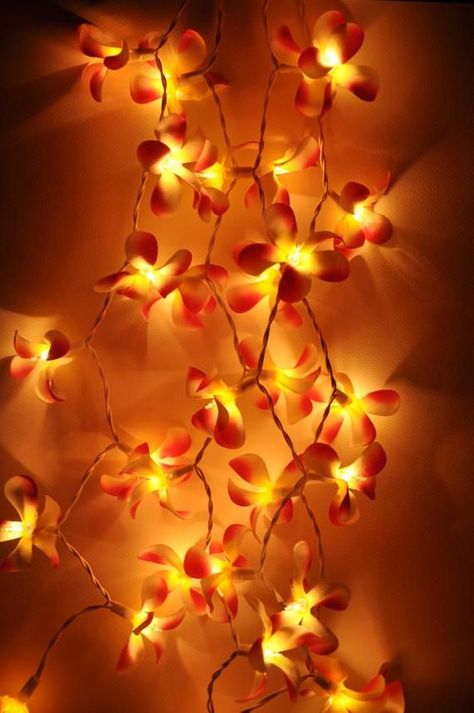 Deco Orange, String Fairy Lights, Frangipani Flower, Patio Wedding, Table Centerpiece Decorations, Battery String Lights, Table Centrepiece, Orange Walls, Rainbow Aesthetic