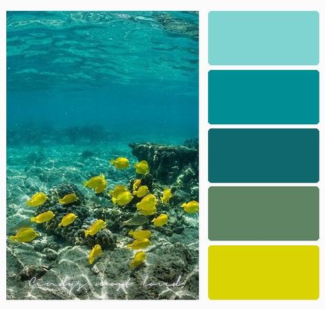 color Sea Color Palette, Ocean Color Palette, Beach Color Palettes, Photography Underwater, Colour Swatches, Colour Pallets, Color Schemes Colour Palettes, Sea Colour, Color Palette Ideas