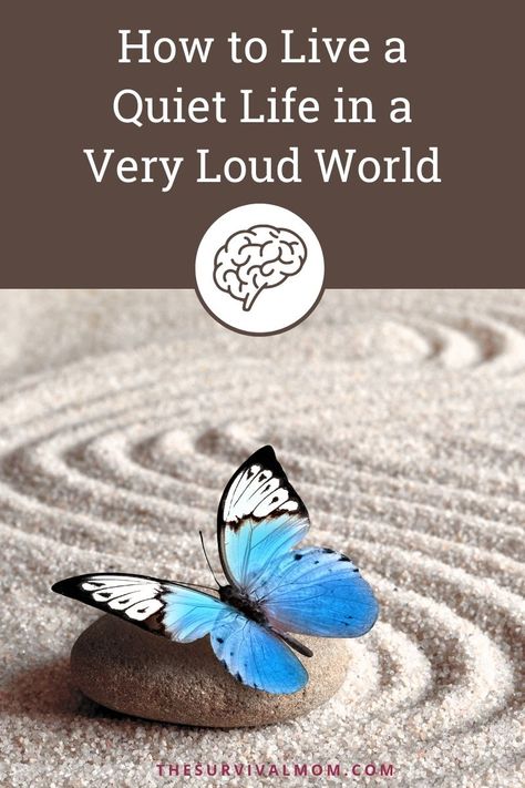 How to Live a Quiet Life in a Very Loud World How To Live A Quiet Life, Living A Quiet Life, Mind Your Own Business Quotes, Live A Quiet Life, Quiet Living, Loud People, Mind Relaxation, Feeling Inadequate, A Quiet Life