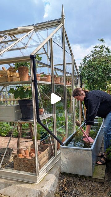 Greenhouse Watering, Greenhouse With Water Collection Inside Greenhouse, Rain Water Garden Irrigation, Greenhouse Misting System, Greenhouse Fish Pond, Pretty Pants, Solar Fountain, Rain Barrel, Water Me