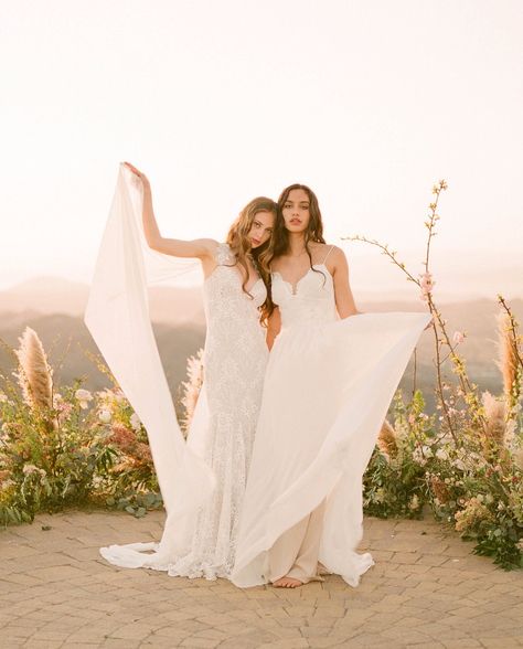 Zinfandel wedding gown by Claire Pettibone Winery Wedding Dress, Vineyard Wedding Dress, Bride Groom Poses, Claire Pettibone, Bohemian Bridal, Zinfandel, Designer Wedding Gowns, Bohemian Wedding Dress, Bohemian Wedding Dresses