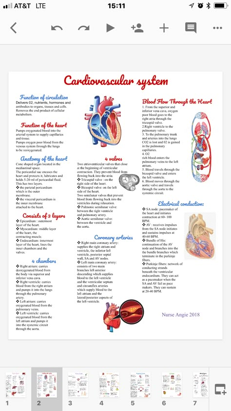 Cardiovascular System Physiology, Med Surge Cardiovascular, Cardio Vascular System Notes, The Cardiovascular System Notes, Cardiovascular System Notes Aesthetic, Body Fluids And Circulation Neet Notes, Cardiovascular System Notes Nursing, Cardiac Cycle Notes, Circulatory System Notes