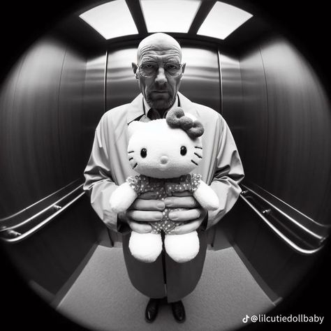 Hello Kitty Elevator Pfp, Pfps Fisheye, Walter White Funny, Fisheye Pfps, Cats Pfp, White Hello Kitty, White Pfp, Mc Wallpaper, Best Wallpaper Hd