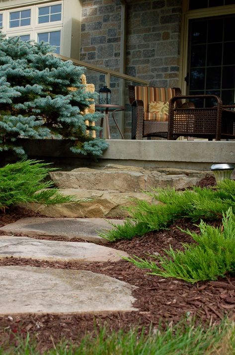 Front Entry from natural stone Natural Stone Front Steps, Flagstone Porch Steps Front Entry, Flagstone Steps Front Entrances, Armour Stone Steps, Natural Stone Steps Front Door, Rock Steps Porch Front Entry, Flagstone Walkway To Front Door, Flagstone Landing, Armour Stone Landscaping