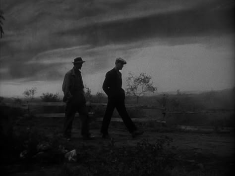 The Grapes of Wrath (1940, John Ford) / Cinematography by Gregg Toland The Binding Bridget Collins, Book Minimalist, Earth Night, 40s Aesthetic, Movie Diary, The Grapes Of Wrath, John Carradine, English Aesthetic, Welsh Gold