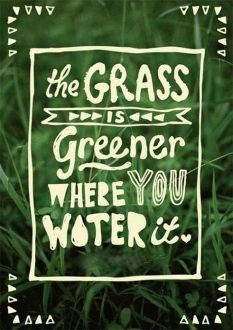 You've heard the saying "The grass is always greener on the other side" but honestly it's NOT! The grass is GREENER where YOU take the time to WATER IT! What ever you feed in your mind or life, GROWS! Focus on the negative stuff/problems and they WILL grow! But the same is true for the POSITIVE POSSIBILITIES! Choose what you want to INCREASE in your life and WATER IT!! Wishing everyone a yard FILLED with GREEN GREEN GRASS!! The Grass Is Greener, Grass Is Greener, Visual Statements, E Card, Wonderful Words, The Grass, Quotable Quotes, Amazing Quotes, True Words