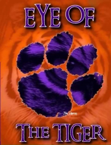 Clemson Wallpaper, Clemson Tigers Wallpaper, Clemson Baby, Clemson Tailgating, Clemson South Carolina, Auburn Logo, Clemson Tiger Paw, Auburn Tigers Football, Clemson Tigers Football