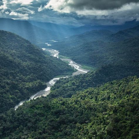 National Geographic (@natgeo) on Instagram: Photograph by @chamiltonjames My Father's World, A Writer's Life, Green Landscape, Nature Reserve, National Geographic, South America, Beautiful Photo, The Well, Nature Photography