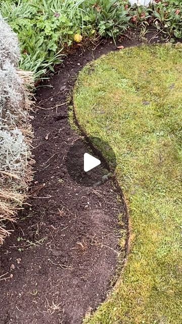 Alexander hayden on Instagram: "Transforming this neglected garden edge oh so satisfying #satisfying #transformation #amazing #handtools #satisfyingvideos #howto #edge #edging" Backdoor Garden Ideas, Borders For Landscaping, Diy Concrete Landscape Edging, Garden Edging On A Slope, Dye Garden Ideas, Garden Border Edging Ideas, Cinder Block Edging, Diy Edging Landscape Cheap, Landscaping Edging Ideas