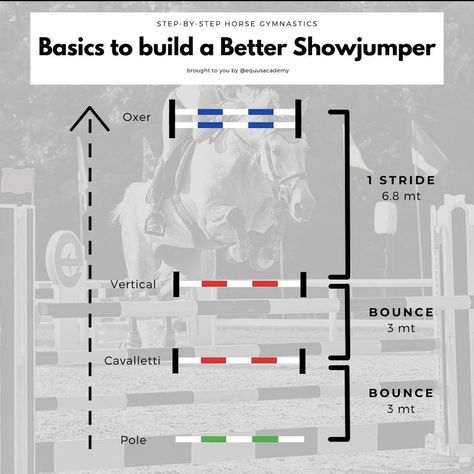 Horse Jumping Exercises Gymnastics, Grid Work For Horses, Jumps For Horses, Jump Courses For Horses, Jumping Exercises For Horses, Equestrian Jumping Exercises, Jump Exercises, Horse Training Ground Work, Horse Jumping Exercises